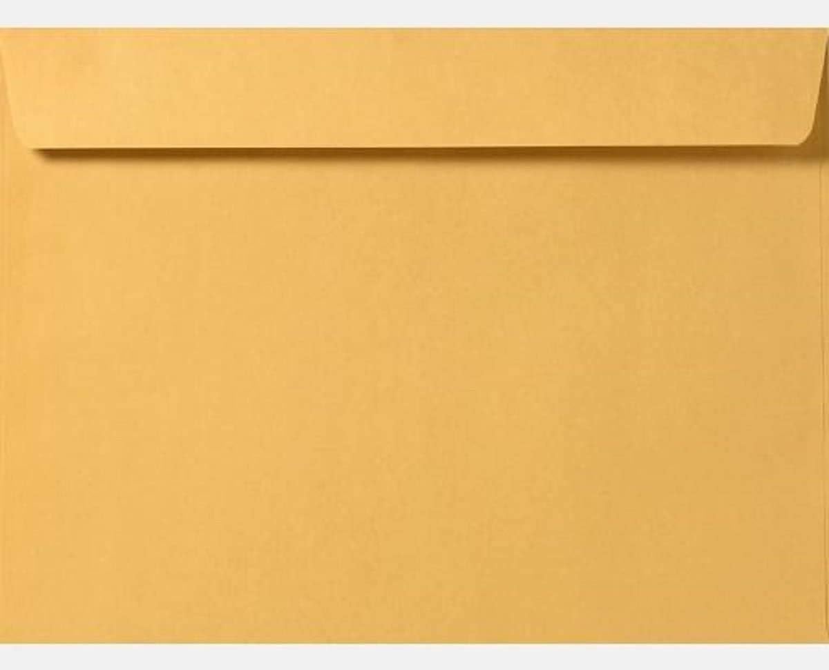 Limited Papers (TM) Booklet Envelopes, (Open Side) Brown Kraft, Gummed Seal, 28 Pound, Heavyweight, For Mailing And More. (500, 12 x 16)