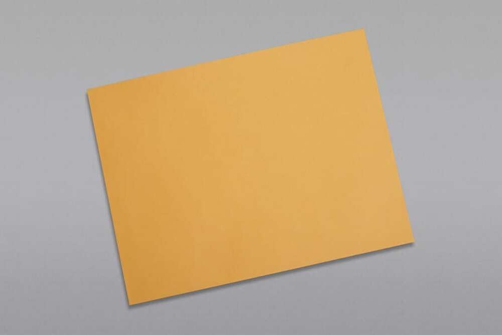 Limited Papers (TM) Booklet Envelopes, (Open Side) Brown Kraft, Gummed Seal, 28 Pound, Heavyweight, For Mailing And More. (1000, 10 x 15)