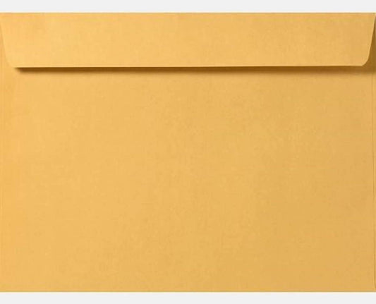 Limited Papers (TM) Booklet Envelopes, (Open Side) Brown Kraft, Gummed Seal, 28 Pound, Heavyweight, For Mailing And More. (250, 9.5 x 12.5)