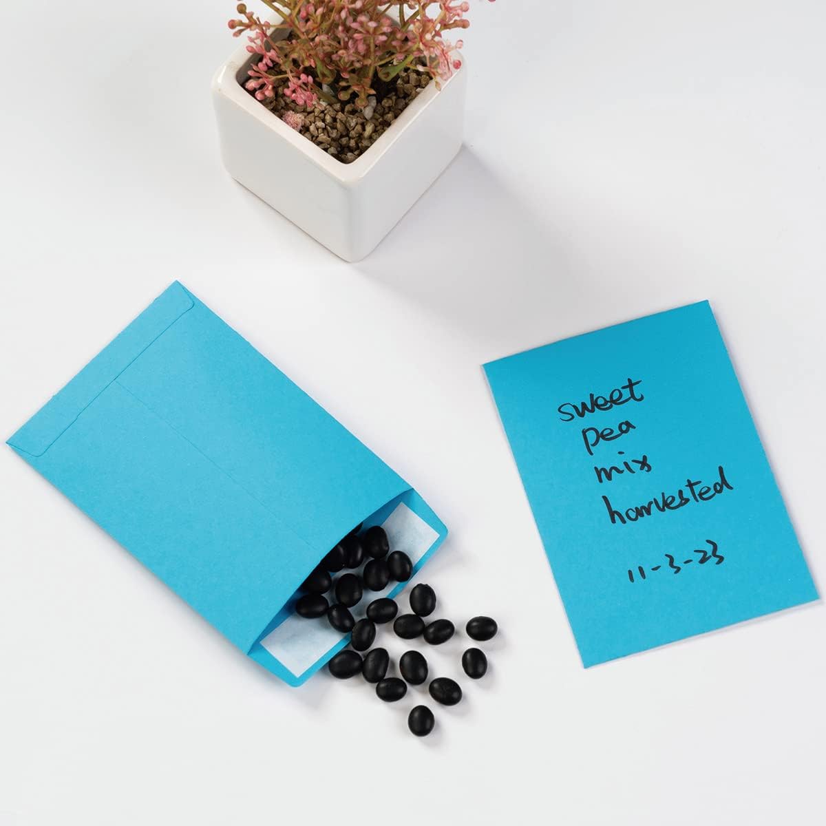 100 Pack Seed Envelopes Self-Adhesive Small Coin Envelopes Seed Storage Packets for Garden, Office or Wedding Gift (Colorful, 3 1/4 ×4 1/2 inches)