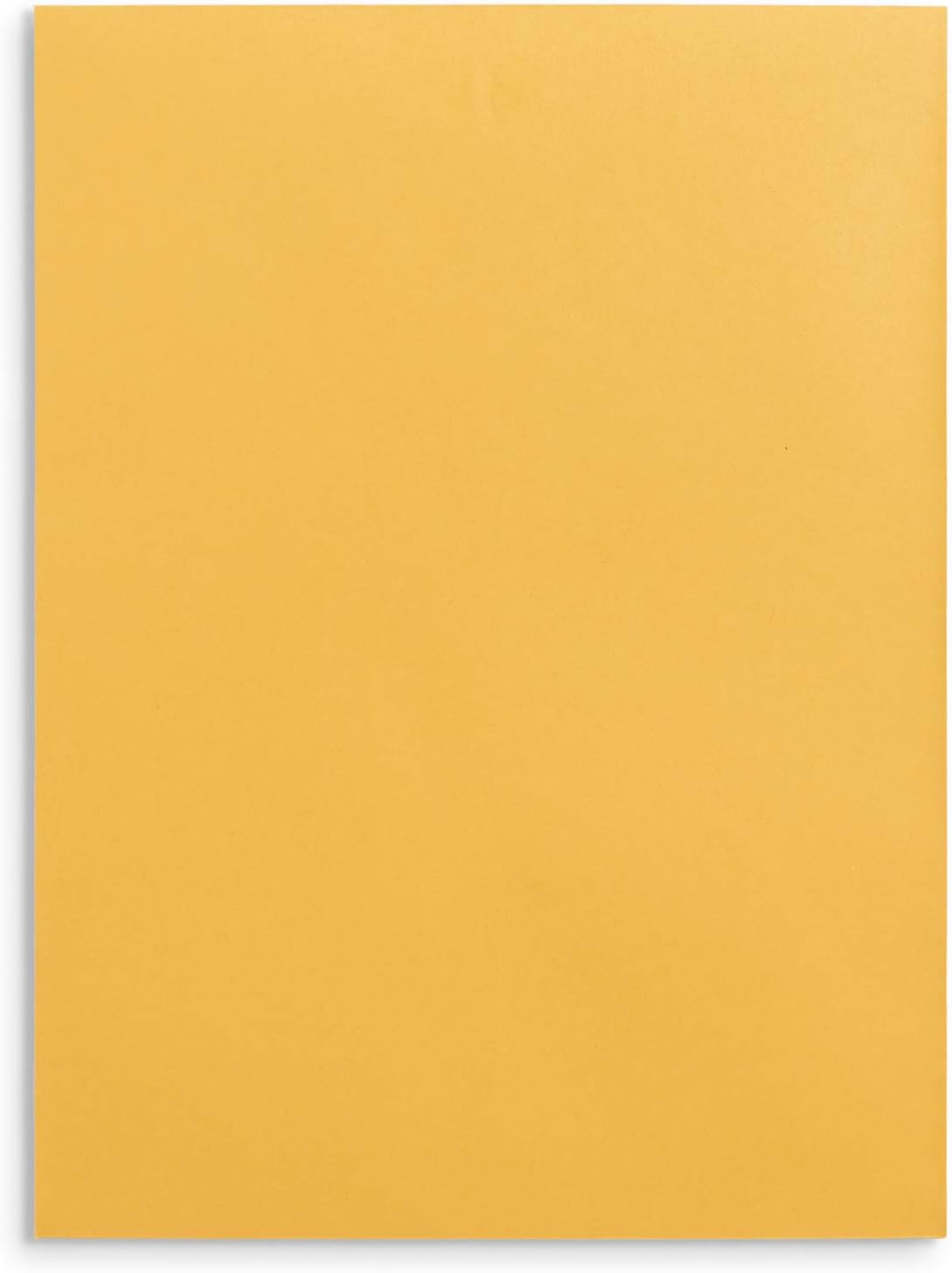 Blue Summit Supplies 100 9” x 12” Clasp Envelopes with Gummed Seal, Letter Size Clasp Mailing Envelopes Made From 28lb Kraft Paper, For Mailing Larger Papers or Magazine, Bulk 100 Pack