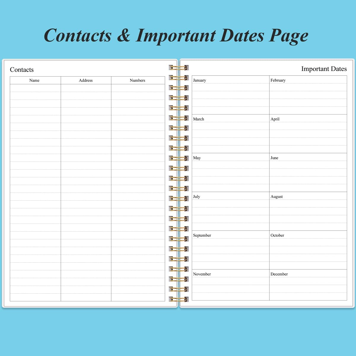 Daily Planner Undated - B5 To Do List Notebook Hourly Schedules, Spiral Appointment Planner for Women and Men, PVC Hardcover, Inner Pocket, Elastic Closure, 7" x 10", Blue Watercolor