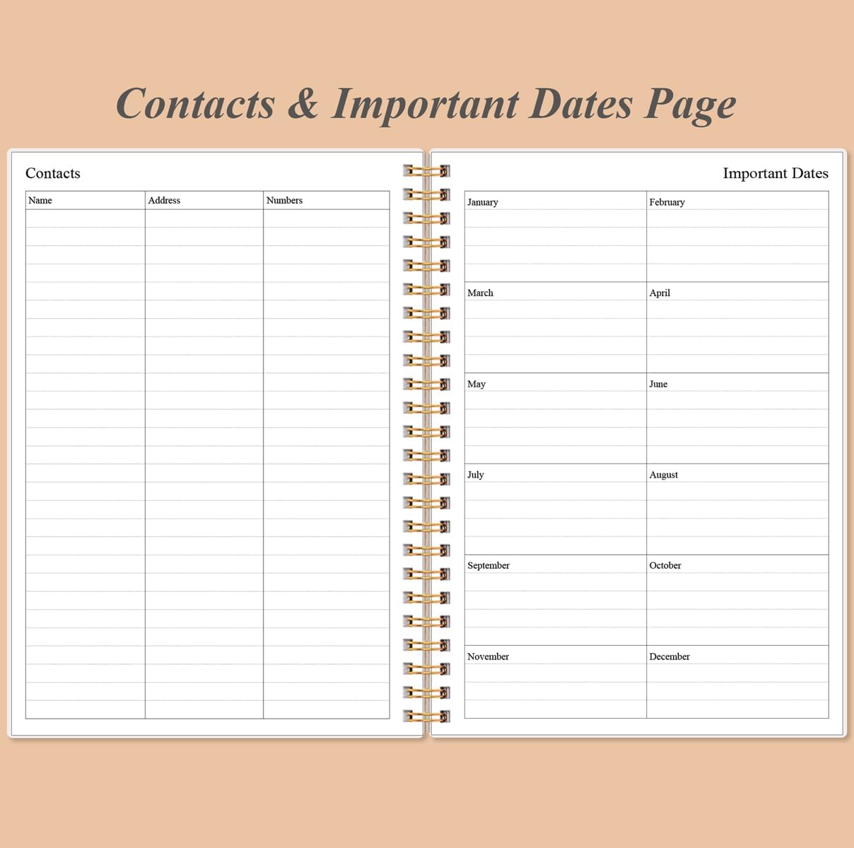 Daily Planner Undated - A5 To Do List Notebook Hourly Schedules, Spiral Appointment Planner for Women and Men, PVC Hardcover, Inner Pocket, Elastic Closure, 5.8" x 8.3", Rose Leaf