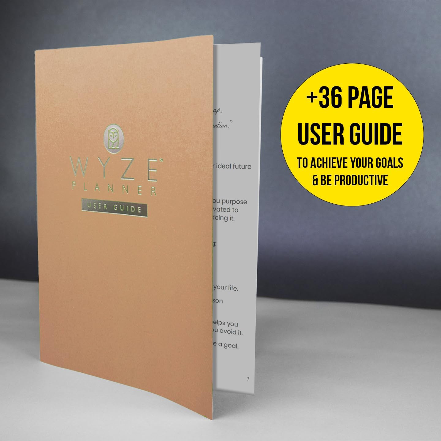 Undated Daily Planner – 1-Year B5 Productivity Organizer with Two-Page Weekly Spread, Goal Setting, Habit Tracker, Weekly & Monthly Pages – Hardcover Time Management Notebook (Rose Gold)