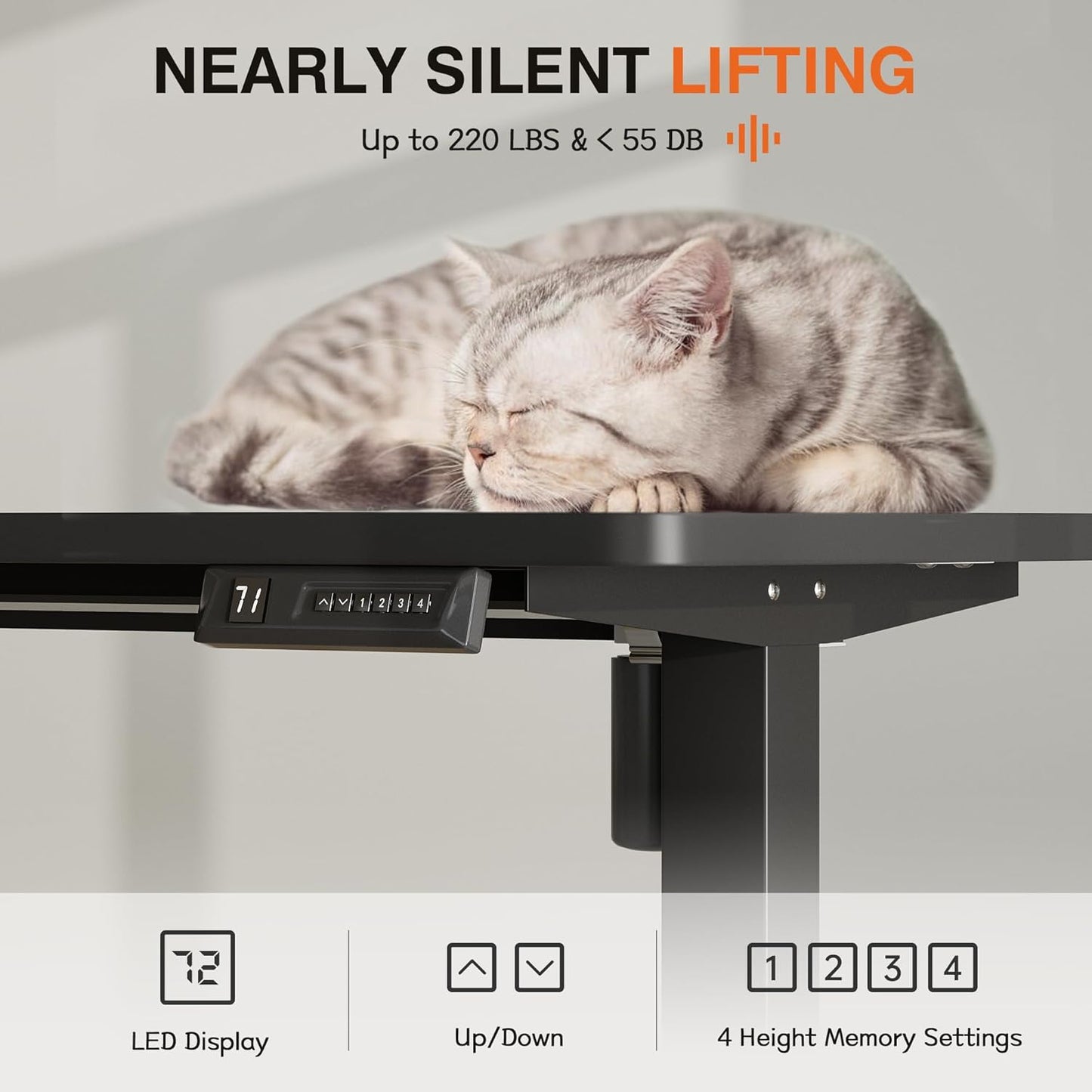 Furmax Electric Standing Desk, 47 x 24 Inches Height Adjustable Desk with Removable Casters, Home Office Computer Desk (Carbon Black)