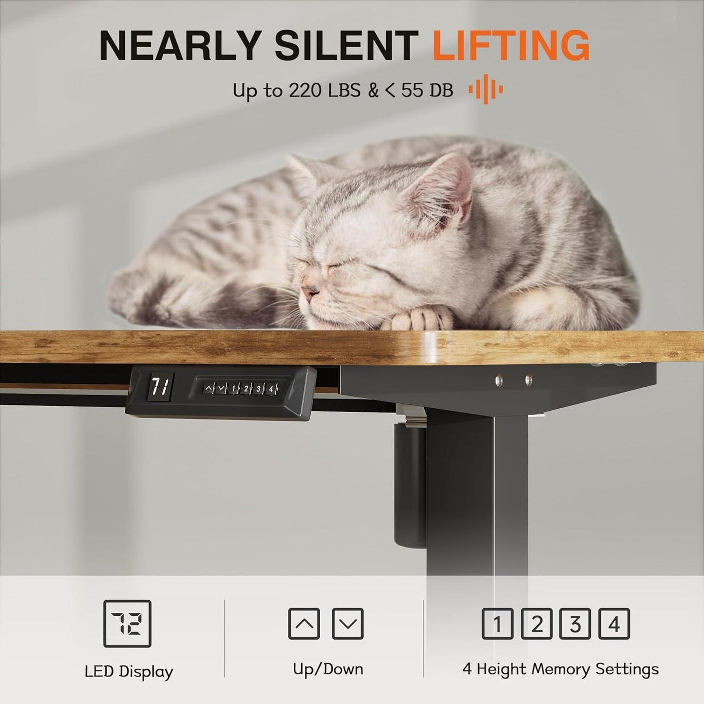 Furmax Electric Standing Desk, 47 x 24 Inches Height Adjustable Desk with Removable Casters, Home Office Computer Desk (Brown)