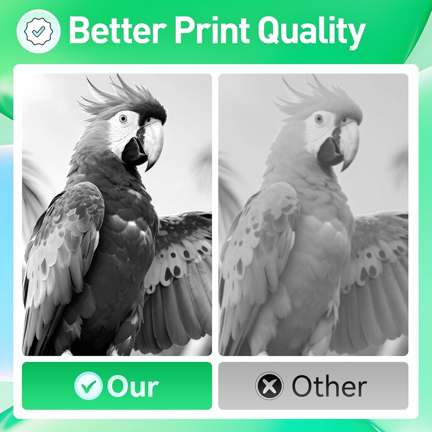 56F1000 Toner Cartridge Black Compatible with Lexmark 56F1000 56F000G Toner Replacement for Lexmark MS321 MS421 MS521 MS621 MX521 MX522 MX622 MS622 MX321 MX421 Laser Printer Ink dn dw de adn adw adhe