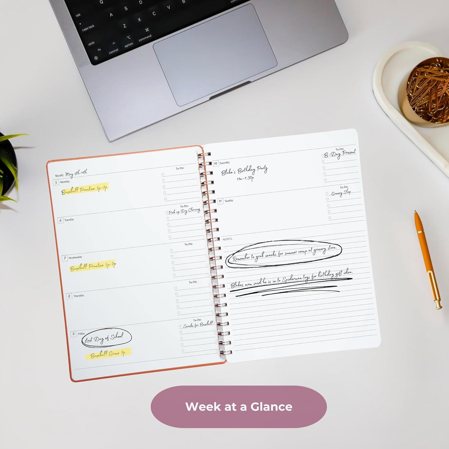 | Ultimate Yearly, Daily, Weekly, Monthly Planner | 8.25" x 11.75" | To Do List Notebook for Work | Simple Design | Multiple Layouts | Academic Planner and Organizer Notebook (Evergreen, Yearly Planner - Portrait)