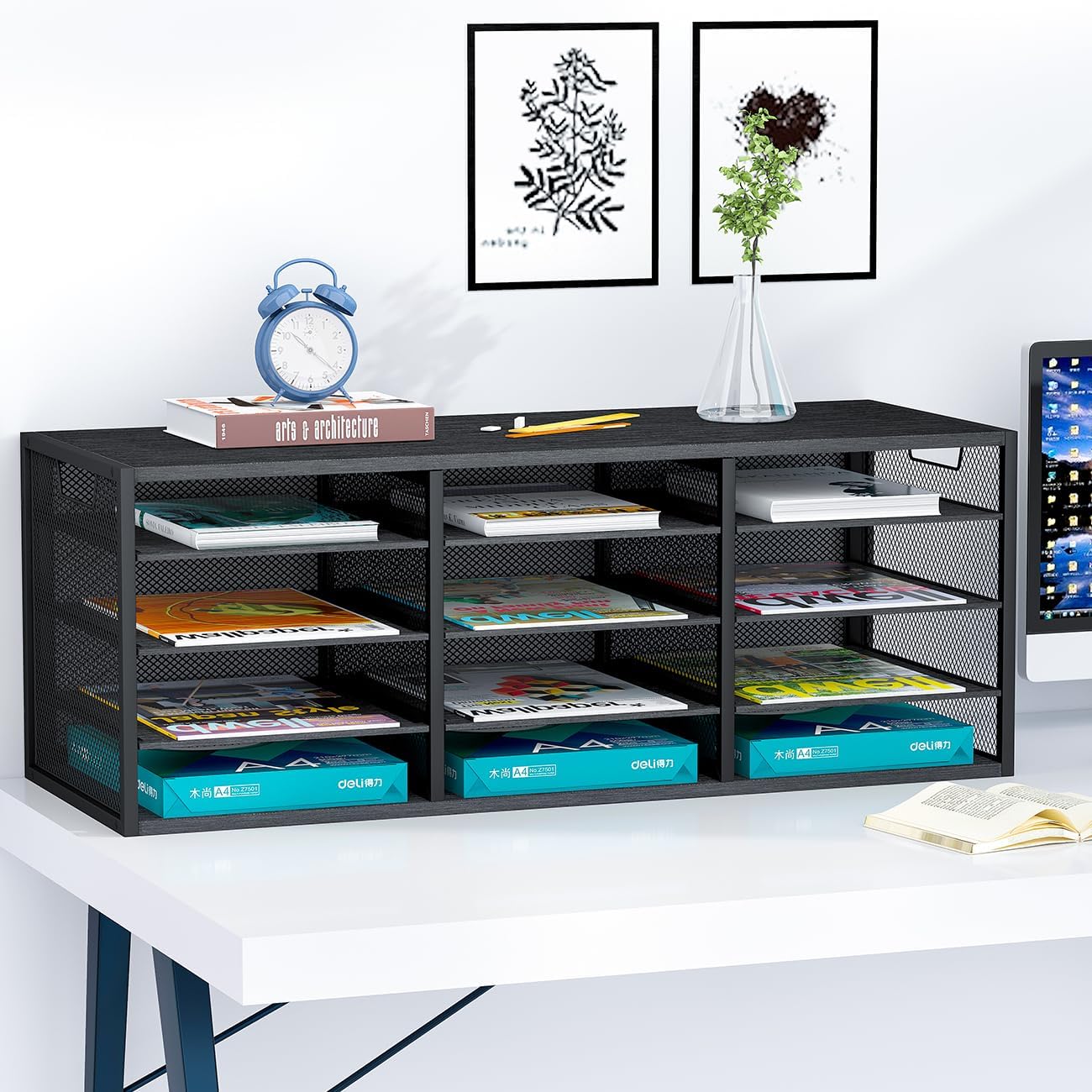 Mail Sorter Adjustable Countertop Heavy Duty Literature Organizer Student Mailbox for Classroom Desktop Bill Paper Holder Rack for Office Home School, 12 Compartments, Black