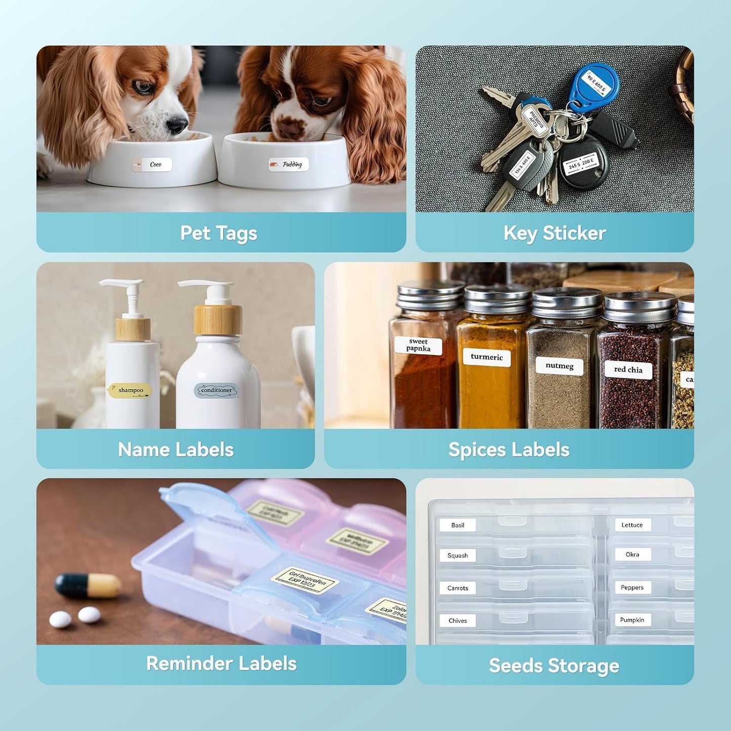 DEEPIN D11 Label Maker Machine Portable Bluetooth Label Maker with Tape, Thermal Label Printer Multiple Templates for Phone, Mini Label Sticker Printer for Business Office Organization, Green