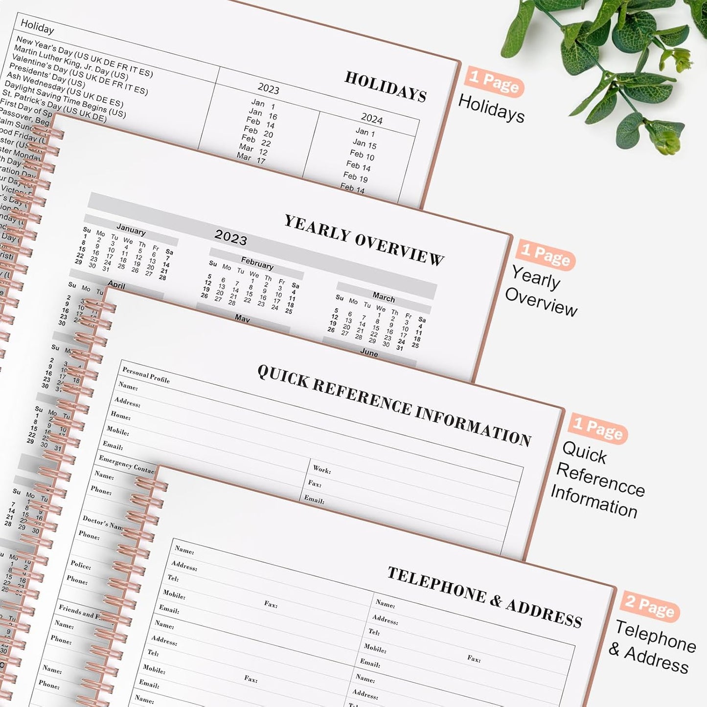 Asten Daily Planner with To Do List, Hourly Agenda, Spiral Notebook - Day Planner for Women, Men & ADHD - 8.5" x 11" (Pale Pink)