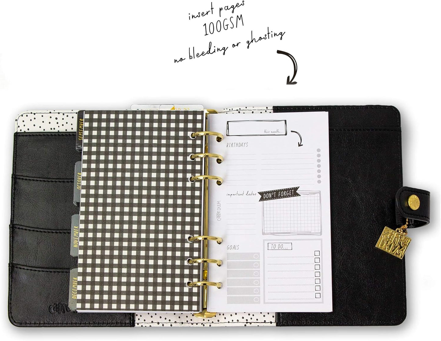 Pukka Pad, Carpe Diem Personal Planner - Soft Cover Binder with Weekly, Monthly Undated Inserts in Tabbed Sections, Interior Pockets and Sticker Sheets - 8 X 7.5 X 1.4 Inches, Buffalo Check