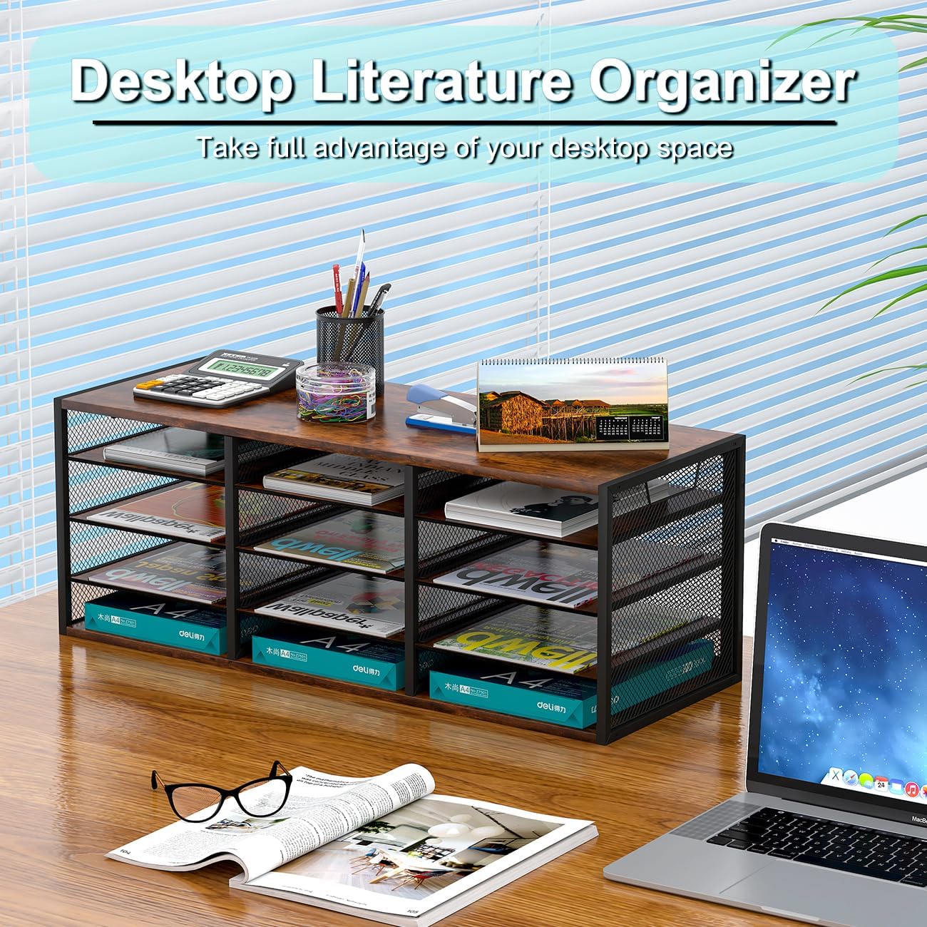 Mail Sorter Adjustable Holder, Countertop Literature Organizer, Student Mailbox for Classroom, Desktop Bill Paper Organizer for Office Home School, 12 Compartments, Brown