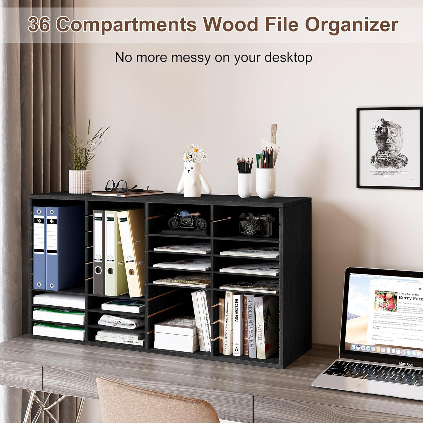 EasyPAG Mail Organizer Countertop, Wood Literature Organizer with Adjustable Shelves, Student Classroom Mailbox for School, Desktop Paper Sorter for Office Home, 36 Compartments, Black