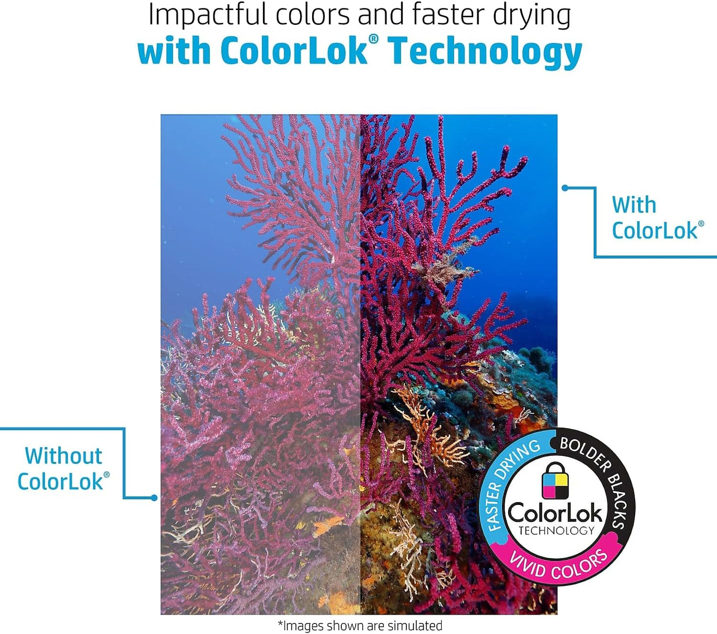 HP Printer Paper | 8.5 x 11 Paper | MultiPurpose 20 lb | 10 Ream Case - 5000 Sheets | 96 Bright | Made in USA - FSC Certified | 112000PC