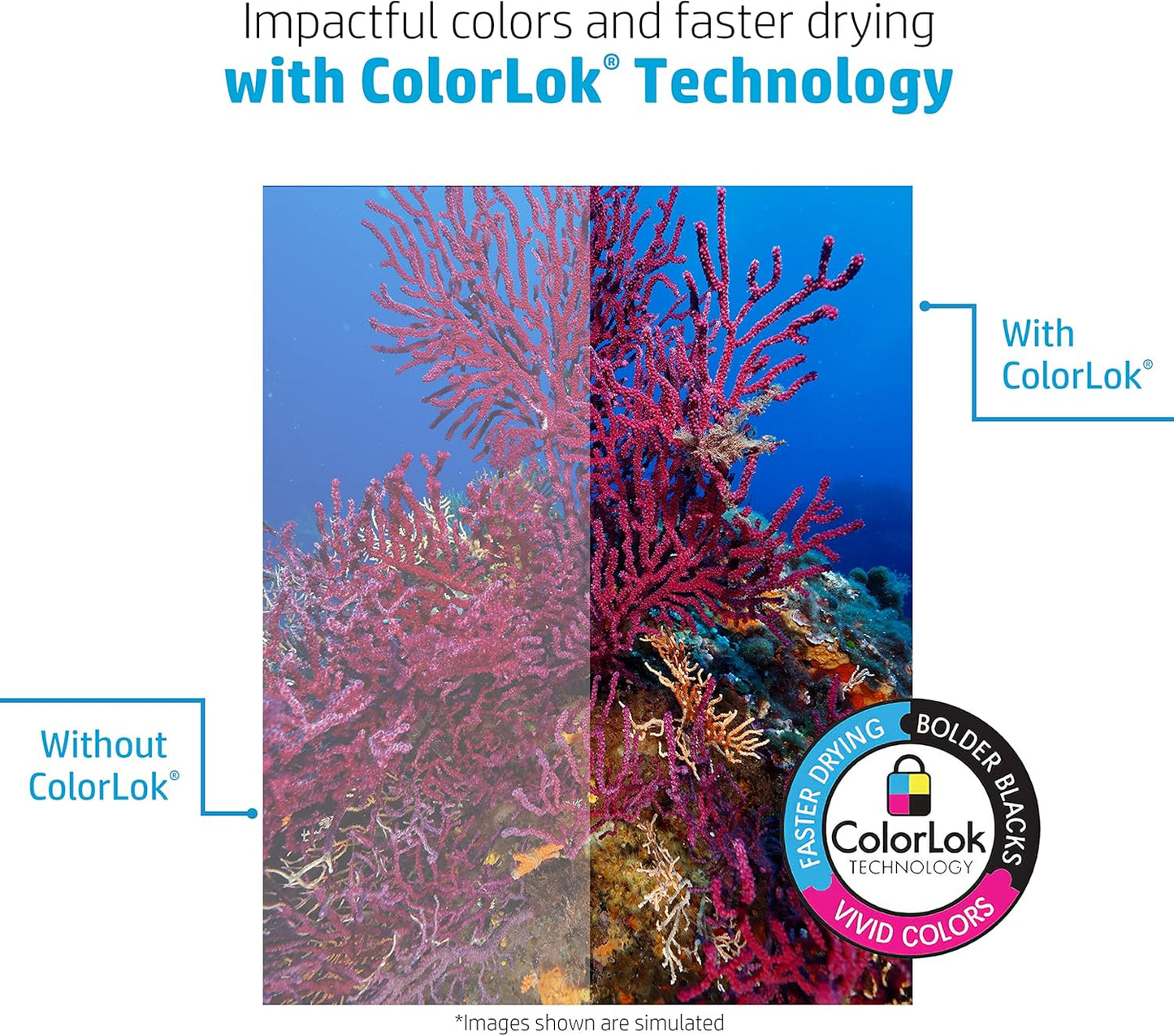 HP Papers Printer Paper, 8.5 x 11 paper, Multipurpose 20 lb - 96 Bright , 40 Cases - 1 Pallet -200,000 Sheets, Loading Dock Delivery, Made in USA - FSC Certified, 112000P