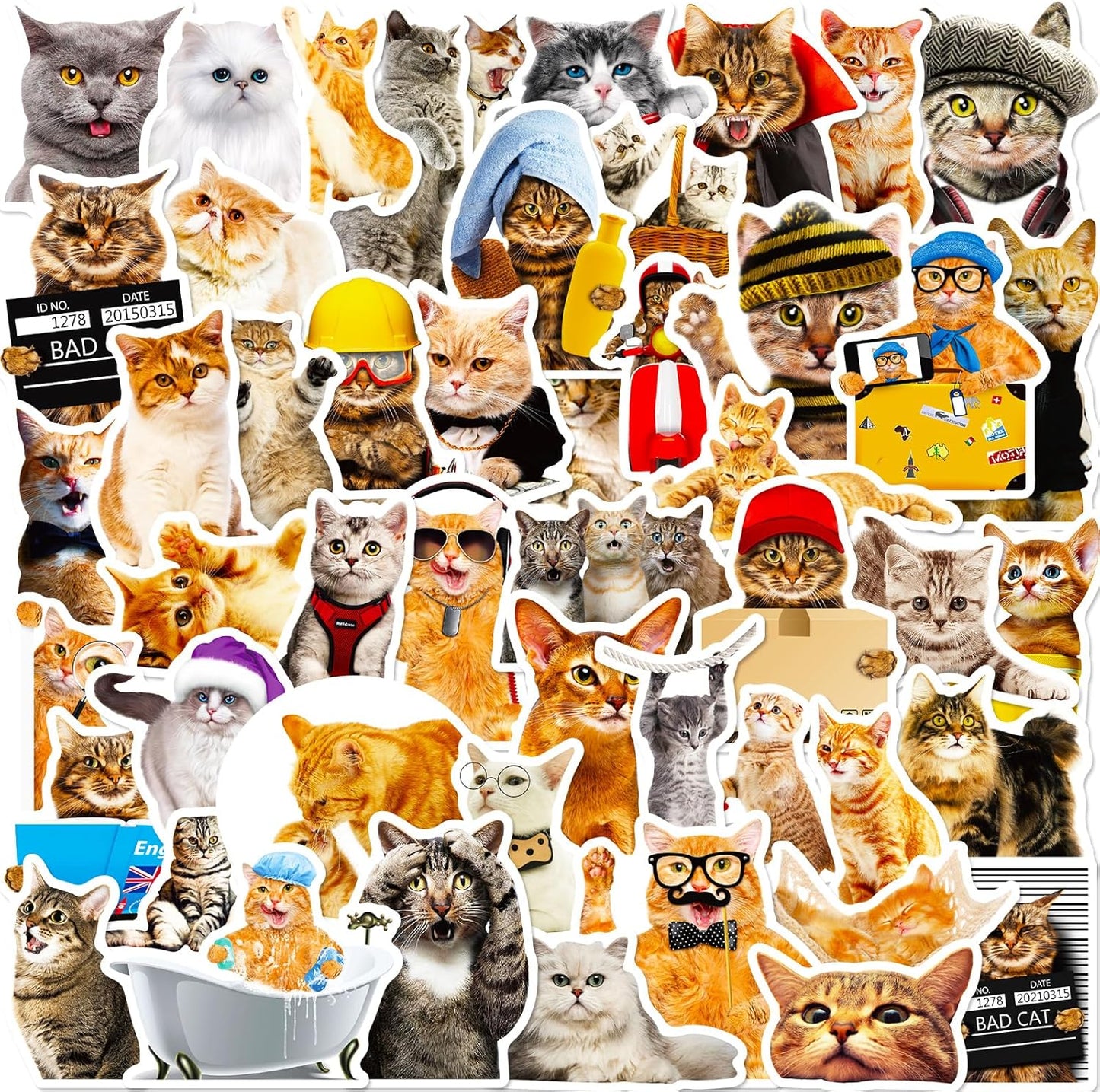 100 PCS Cute Cat Stickers for Kids, Funny Kitten Stickers for Journaling Laptop Scrapbook Water Bottles Guitar Skateboard, Decals for Teens Adults Kids Gift (Cat)
